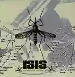 Isis: Mosquito Control
