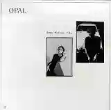 Opal: Happy Nightmare Baby