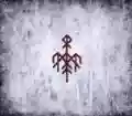 <b>Wardruna</b> • Runaljod – gap var Ginnunga