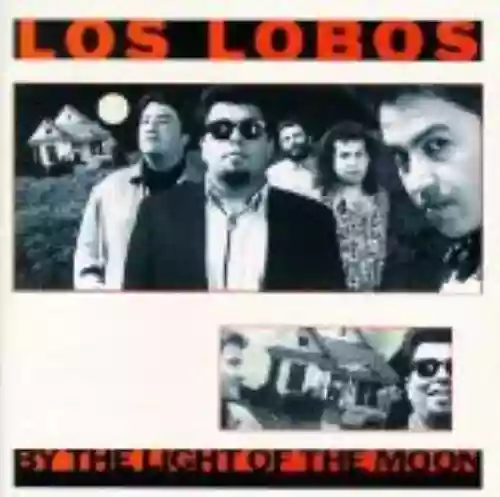 Cover di By the Light of the Moon