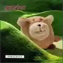 Guster: Parachute