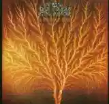 Van Der Graaf Generator: Still Life