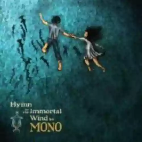 Cover di Hymn to the Immortal Wind