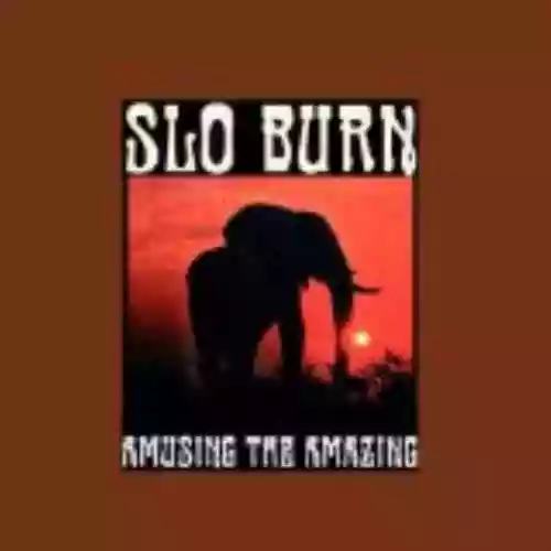 Cover Slo Burn - Amusing the Amazing