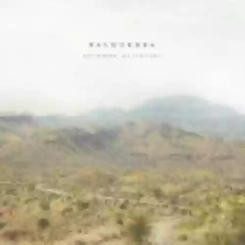 Cover di All Is Wild, All Is Silent