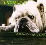 Dinosaur Jr.: Whatever's Cool With Me