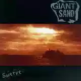 Giant Sand: Swerve