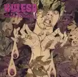 Kylesa: Static tensions