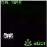 Dr. Dre: 2001