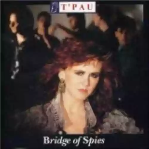 Cover di Bridge of Spies