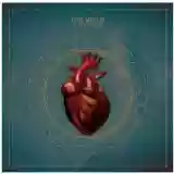 The Veils: Sun Gangs