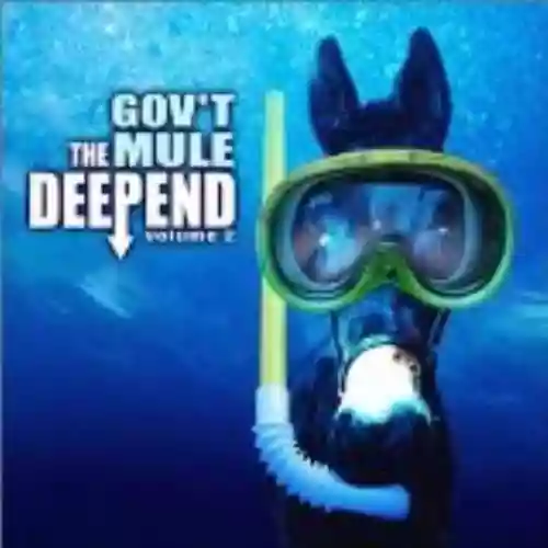 Cover Gov't Mule - The Deep End, Volume 2