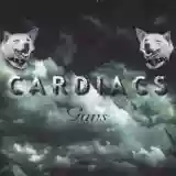 Cardiacs: Guns
