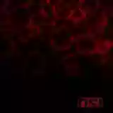 osi: blood