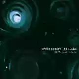 Trespassers William: Different Stars