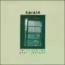 Karate: In Place of Real Insight