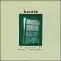 <b>Karate</b> • In Place of Real Insight