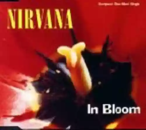 Cover Nirvana - In Bloom