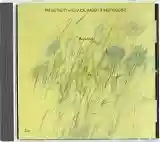 Pat Metheny: Rejoicing