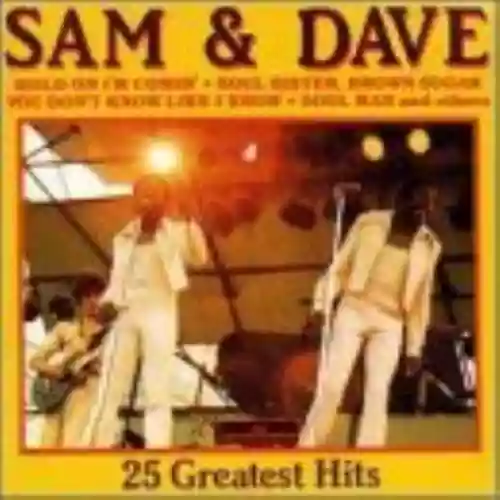 Cover di 25 Greatest Hits