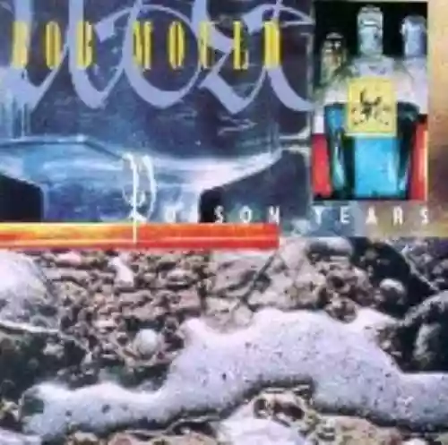 Cover di Poison Years
