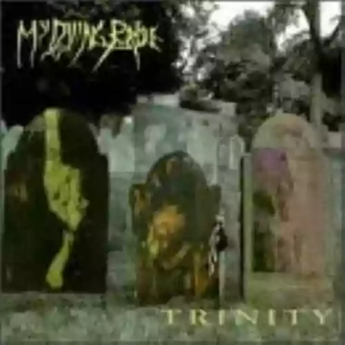 Cover di Trinity
