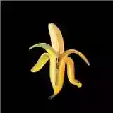 The Dandy Warhols: Welcome to the Monkey House