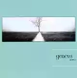 Geneva: Further