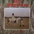 <b>Nico</b> • Desertshore