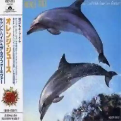 Cover Orange Juice - You Can't Hide Your Love Forever
