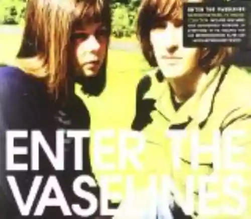 Cover di Enter the Vaselines