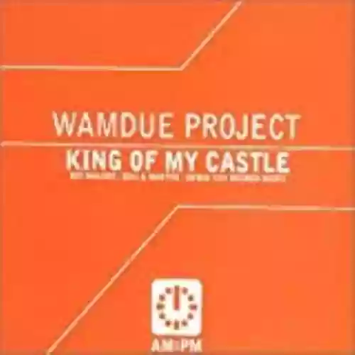 Cover Wamdue Project - King of My Castle