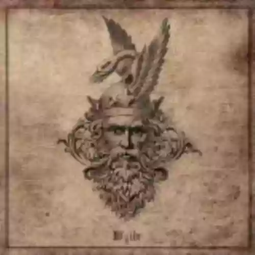 Cover di Wyllt