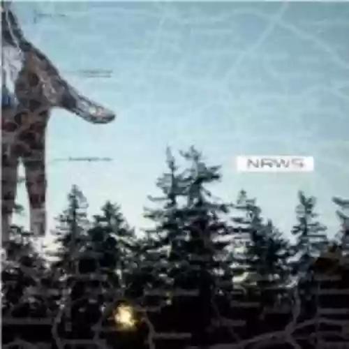 Cover di New Distances