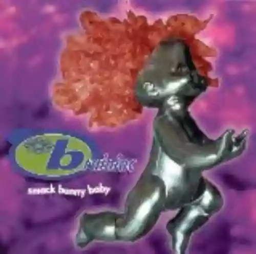 Cover di Smack Bunny Baby