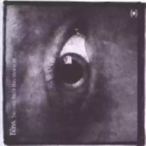 Cover Bliss - No One Built This Moment