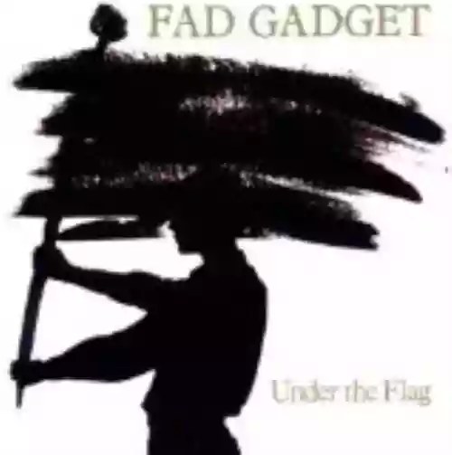 Cover di Under the Flag
