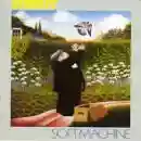 Soft machine: Bundles