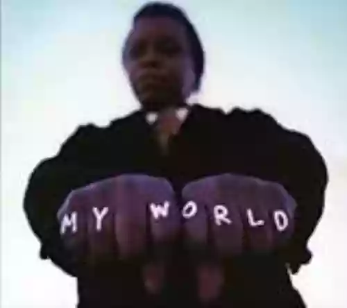 Cover Lee Fields & The Expressions - My World