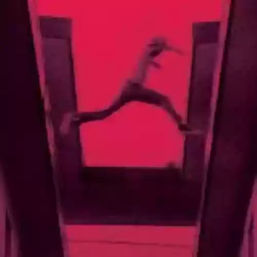 Cover Mos Def - The Ecstatic