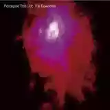 Porcupine Tree: Up The Downstair