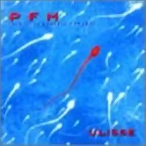 Cover di Ulisse