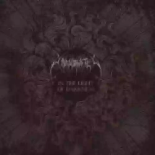 Cover Unanimated - In the Light of Darkness
