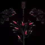 9 Lazy 9: Paradise Blown