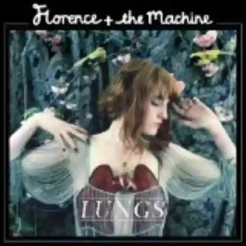 Cover di Lungs