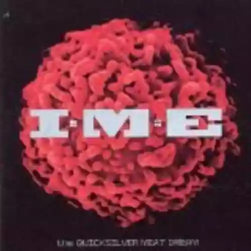 Cover di The Quicksilver Meat Dream