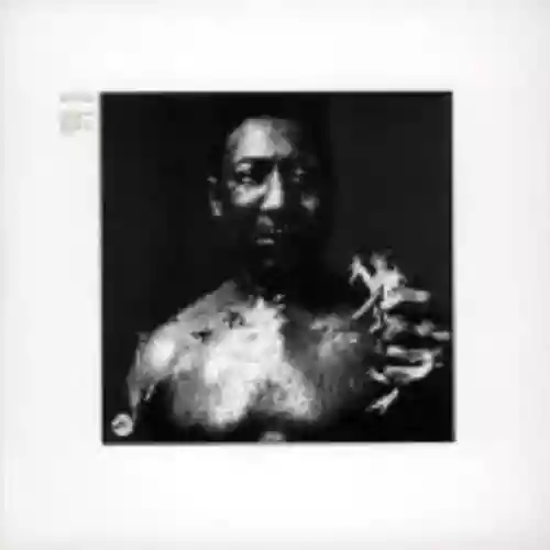 Cover Muddy Waters - After the Rain