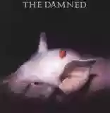 The Damned: Strawberries