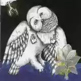 Songs: Ohia: The Magnolia Electric Co.