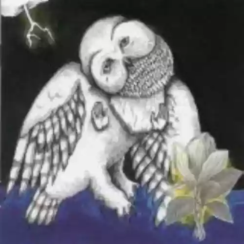 Cover Songs: Ohia - The Magnolia Electric Co.